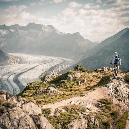 فندق مبيت وإفطار Sport Fiesch, Garni Goneri 3*