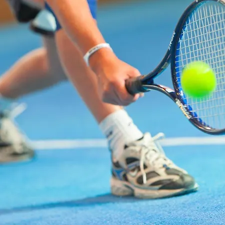 Sport Fiesch, Garni Goneri