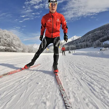 فندق مبيت وإفطار Sport Fiesch, Garni Goneri 3*