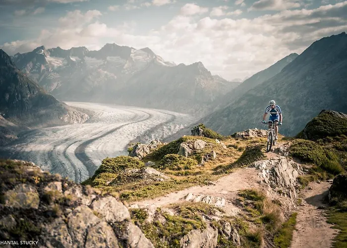 Oda ve Kahvaltı Sport Fiesch, Garni Goneri 3*
