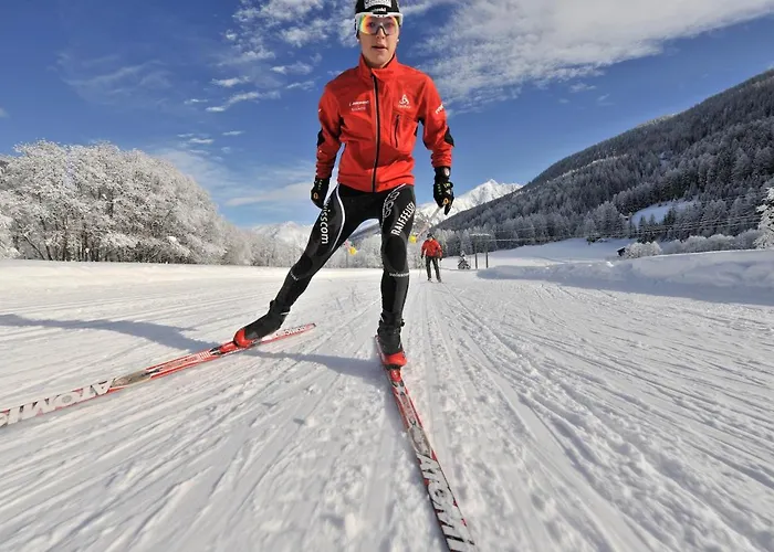 Oda ve Kahvaltı Sport Fiesch, Garni Goneri 3*